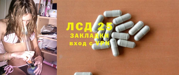 гашик Зеленокумск