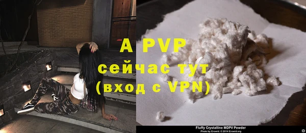 гашик Зеленокумск