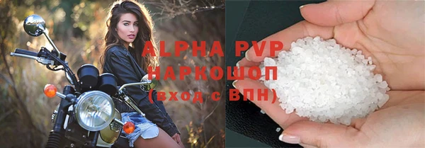 гашик Зеленокумск