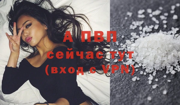гашик Зеленокумск