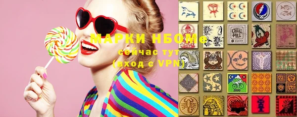 гашик Зеленокумск