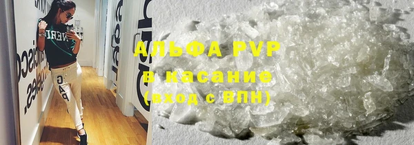гашик Зеленокумск
